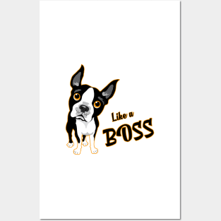 Like a Boss! Especially for Boston Terrier Dog Lovers! Posters and Art